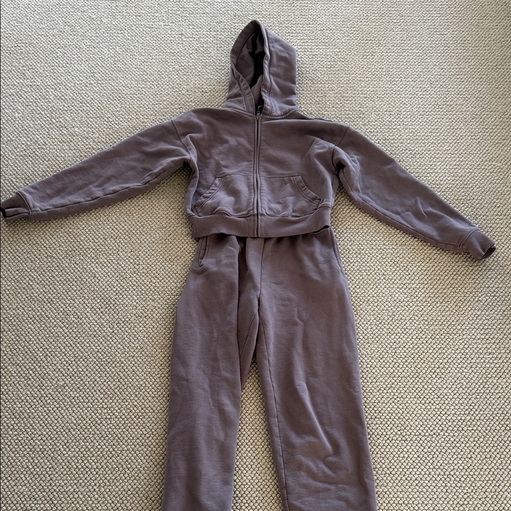 Aritzia Cozy Sweatfleece Boyfriend Zip Hoodie and sweat pants